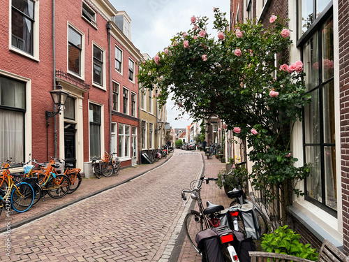 Beautiful view of city street with bicycles and pink rose bush