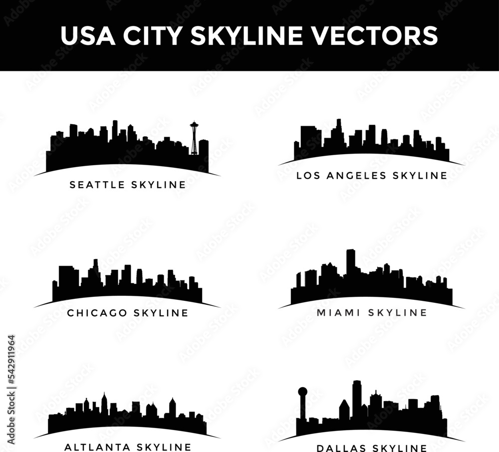 USA city skyline vector