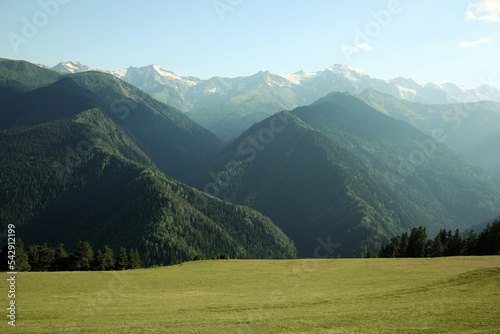 Picturesque view of mountain forest and people resting on green meadow © New Africa