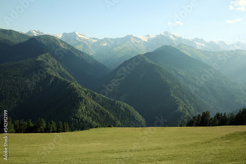 Picturesque view of mountain forest and people resting on green meadow