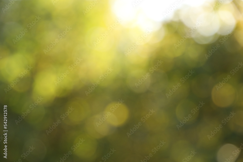 Blurred view of green trees outdoors. Bokeh effect Blurred view of green trees outdoors. Bokeh effect