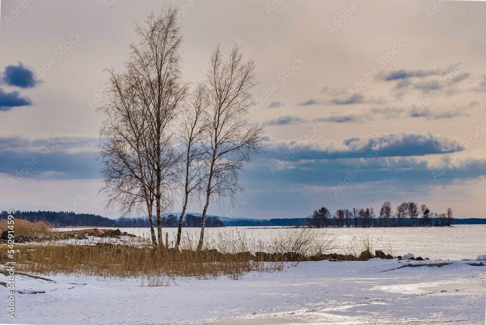 custom made wallpaper toronto digitalFrozen Lake