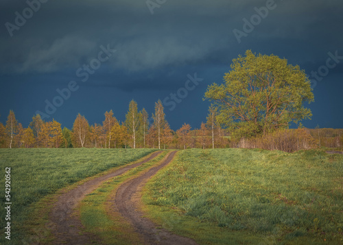 summer sunset landscape overlooking the road