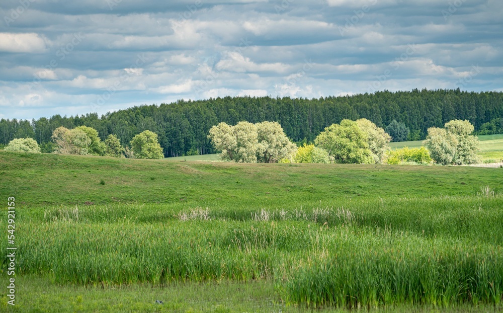 Obraz premium beautiful summer sunset landscape in the village