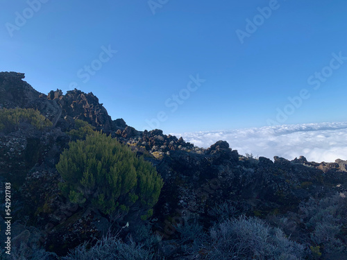 Sentier de randonnée sur le piton des neiges, ile de la Réunion