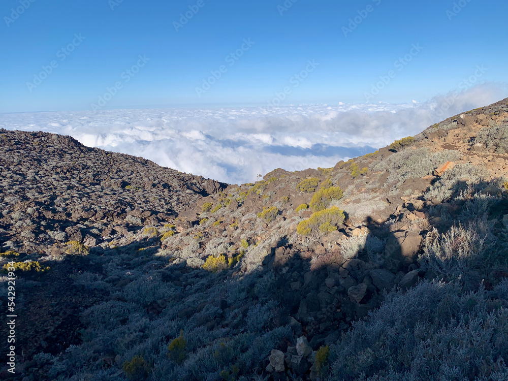 Sentier de randonnée sur le piton des neiges, ile de la Réunion Stock Photo Adobe Stock