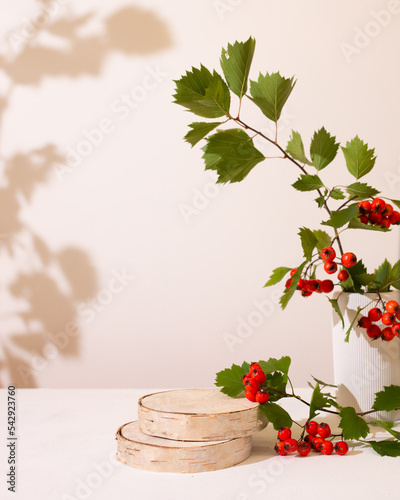 Wood podium saw cut of tree on beige background with autumn red hawthorn berries ans plaster vase. Concept scene stage showcase, product, promotion sale, presentation, beauty cosmetic. 