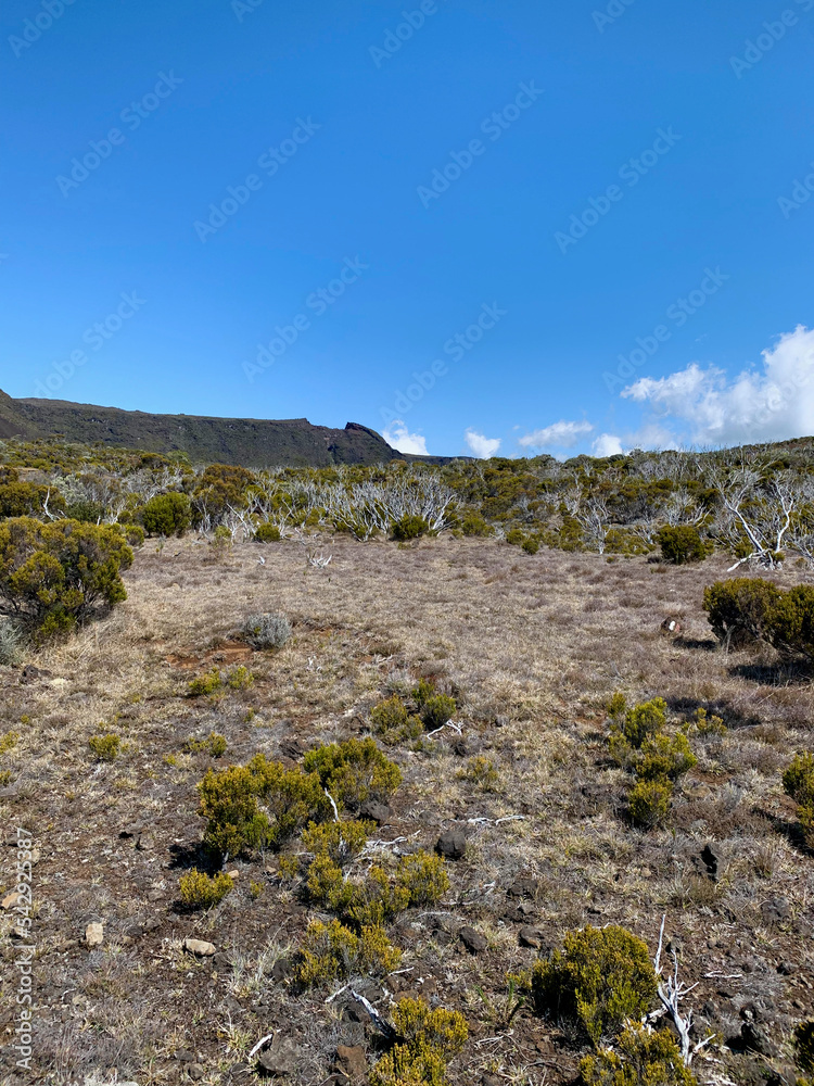 Paysage montagneux sur l'île de la Réunion, sentier du GRR2