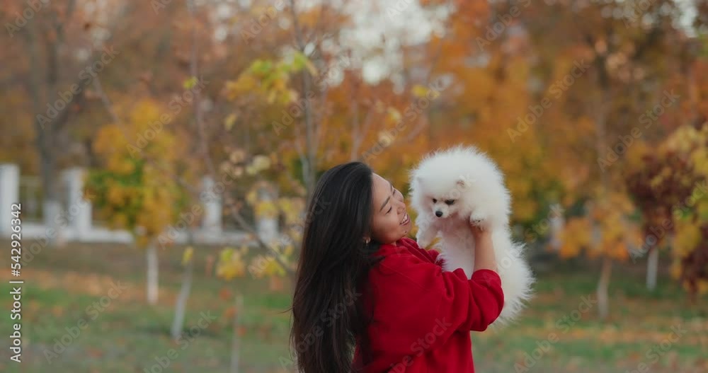 Asian woman with white spitz dog, autumn slow motion portrait Asian woman with white spitz dog, autumn slow motion portrait