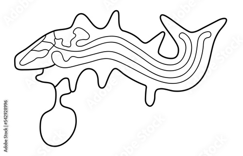 Geoglyph of the killer whale from Nazca, Nazca lines, Peru
