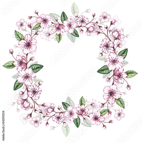 Watercolor cherry frame on a white background