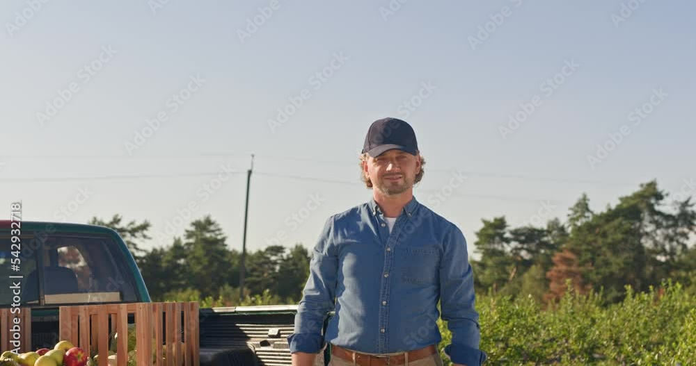 Caucasian man farmer puts in pickup truck basket with organic apples standing in plantation in sunlight. Portrait of businessman collecting ecological fruits in farm. Healthy food. Harvest concept Caucasian man farmer puts in pickup truck basket with organic apples standing in plantation in sunlight. Portrait of businessman collecting ecological fruits in farm. Healthy food. Harvest concept