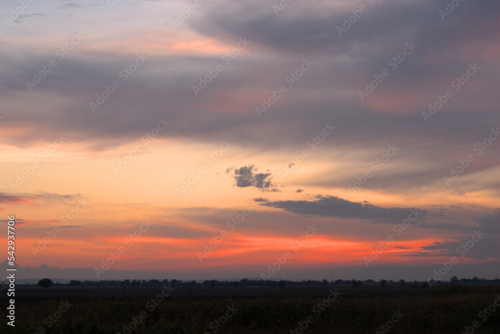 Autumn pink sunset, beautiful high sky, evening landscape of an endless field, Krasnodar region, Russia