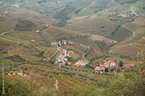 view of a village in region Douro Valley photo