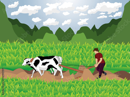 The farmer is at work plowing the fields with his cows
