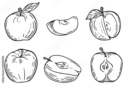 Set of apples, hand drawn vector illustration