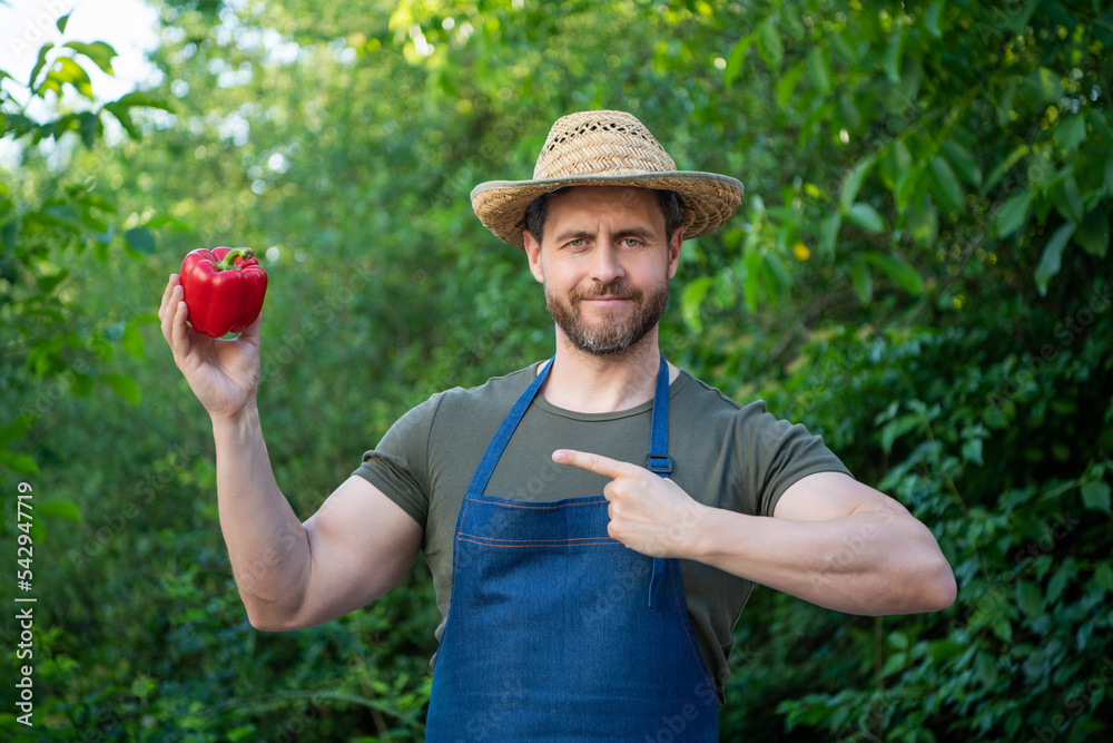 man greengrocer in straw hat point finger on sweet pepper