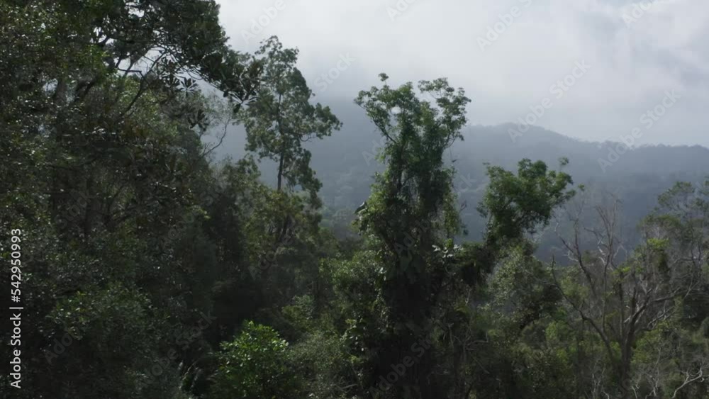 Total view tracking shot trees clouds beautiful landmark no people touristic point