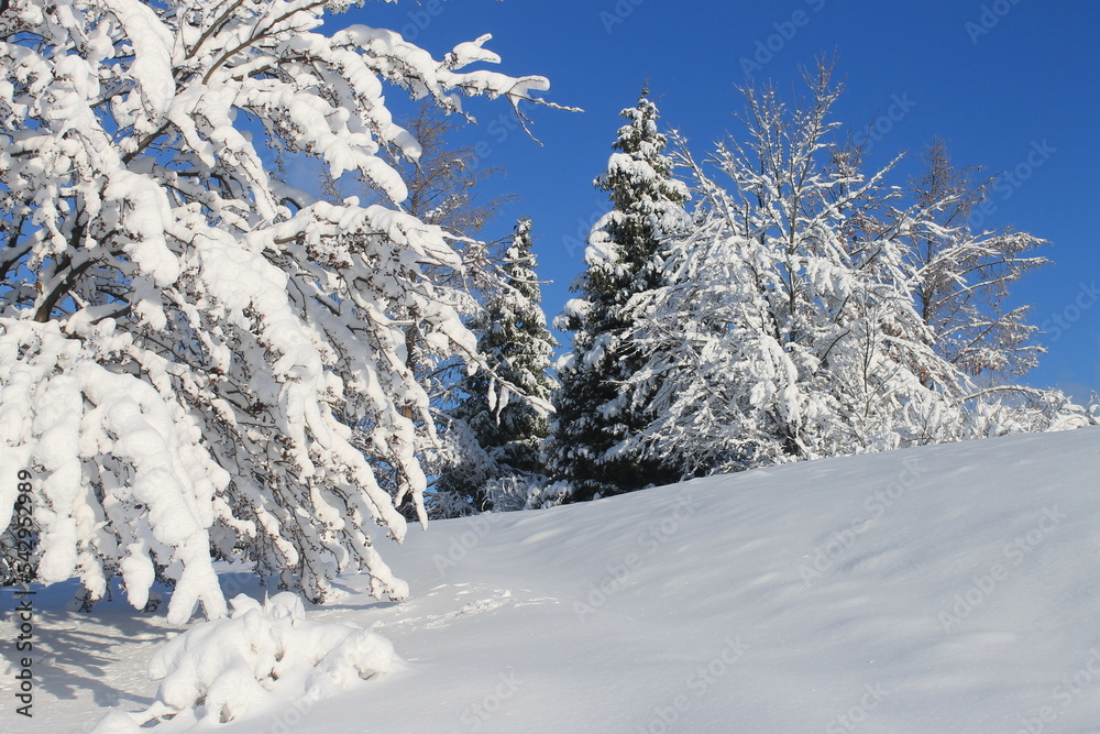 snow-covered snow-covered