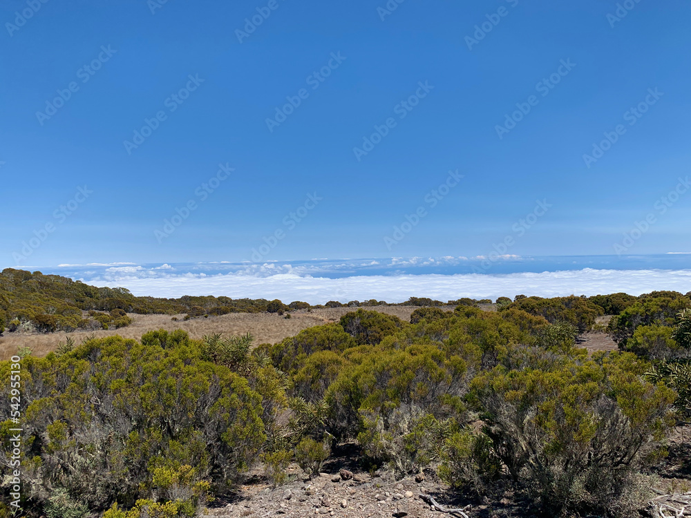Sentier entre le col du Maïdo et le Grand Bénare sur l'île de la Réunion Sentier entre le col du Maïdo et le Grand Bénare sur l'île de la Réunion
