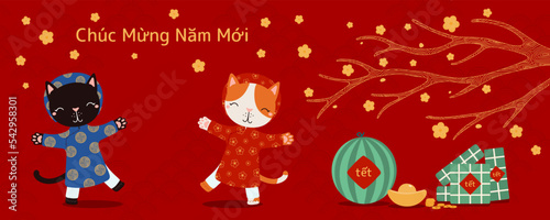 2023 Lunar New Year Tet cute cats in ao dai, rice cakes, watermelon, gold, apricot flowers, Vietnamese text Happy New Year. Hand drawn vector illustration. Flat style design. Concept for card, banner.