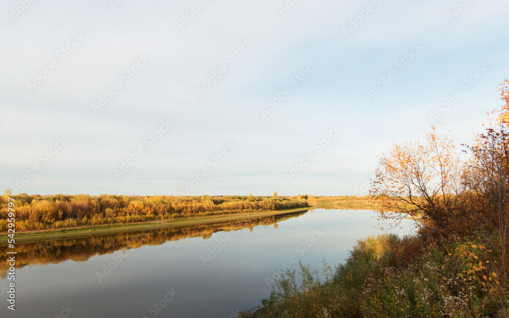 Autumn landscape. The river bed, bushes and trees grow along the banks, old grass with seeds. The blue sky is reflected in the water. The setting sun casts long shadows. Evening.