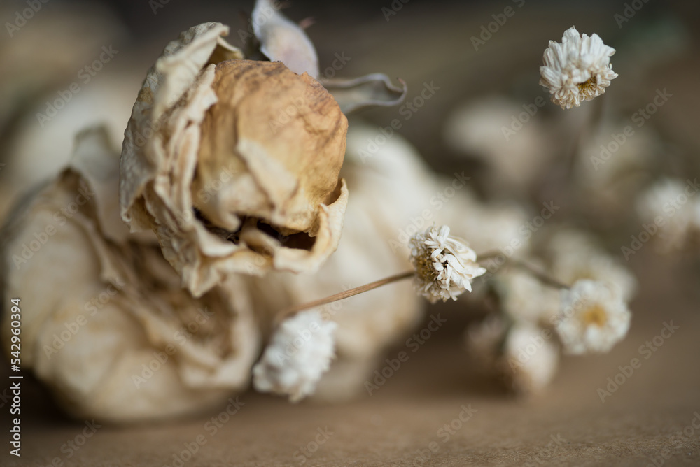 Soft fabric and dried flowers, Flowers on a bed, Rustic ribbon, Photo of dried flowers, Flower tied with vintage rope Soft fabric and dried flowers, Flowers on a bed, Rustic ribbon, Photo of dried flowers, Flower tied with vintage rope