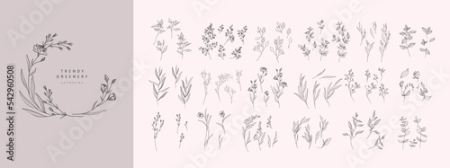 Stampa su tela Set of luxury flowers and trendy botanical elements