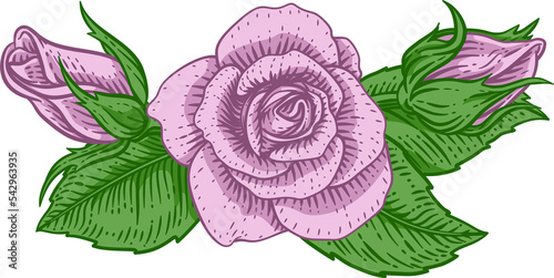 Rose Flower Design Woodcut ...