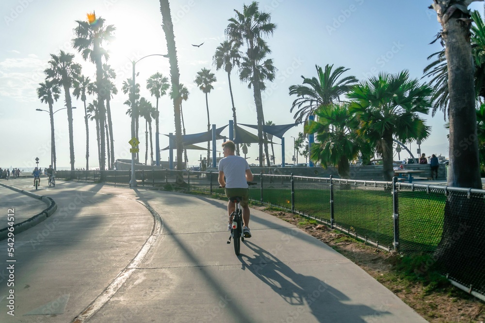 Naklejka premium los angeles widok na molo z kołem