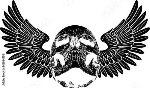 Winged Skull Vintage Woodcut Illustration photo