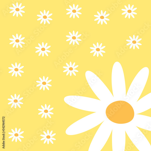 Yellow background with white daisies