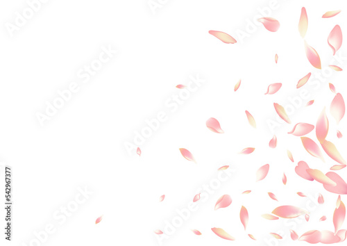 White Apple Petal Vector White Background. Purple