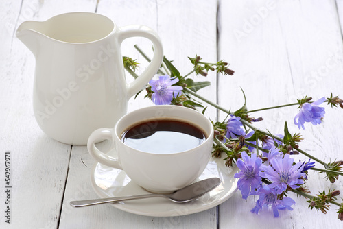 Cup of coffee tea chicory drink with chicory flower on a white table
