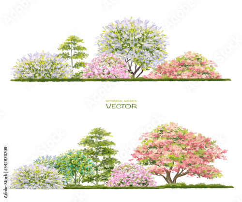 Vector watercolor blooming flower tree or forest side view isolated on white background for landscape and architecture drawing,elements for environment and garden,botanical for section in spring 