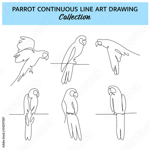 Set of parrot bird one continuous line drawing. Cute decoration hand drawn elements. Vector illustration of minimalist style on a white background.