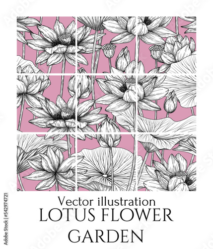 Vector poster garden with lotus flowers in engraving style