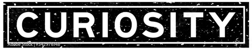 Grunge black curiosity word square rubber seal stamp on white background