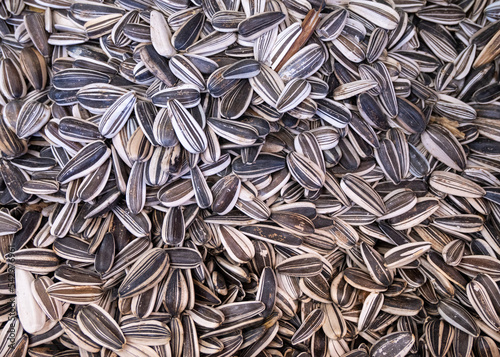sunflower seeds closeup for background