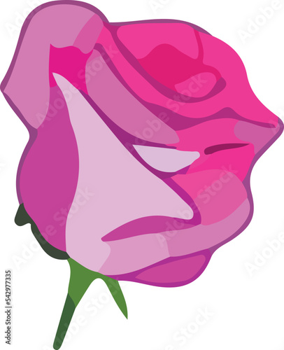 Rose vector icon on white background 
