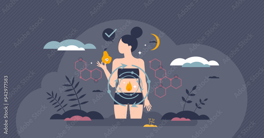 Metabolic body energy with food ATP chemical reaction tiny person concept. Food digestion system with nutrients burning and synthesis cycle vector illustration. Healthy dieting biological process. - obrazy, fototapety, plakaty 