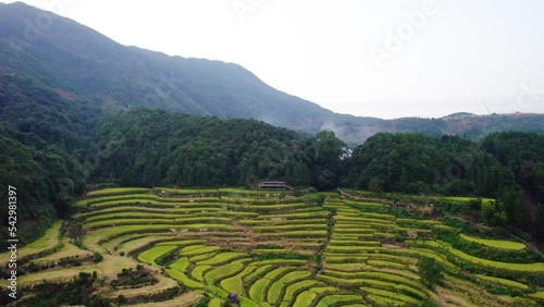 Aerial view of autumn terraced fields in Jiangling, Wuyuan, Jiangxi province photo