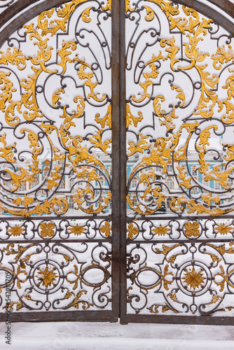 Gates at the Catherine Palace in winter