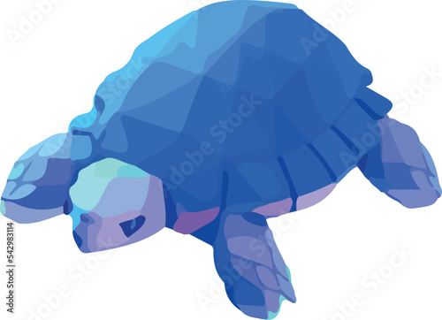 Turtle, Low Poly ,on white background 