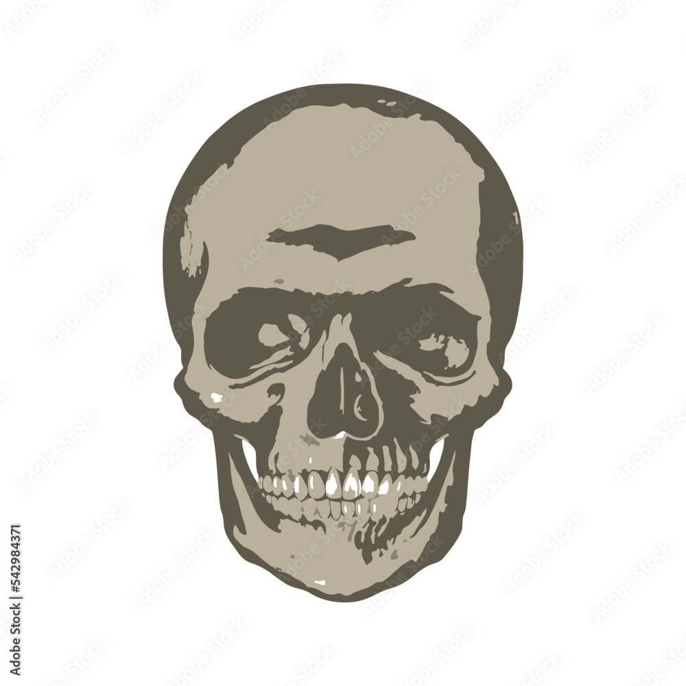 skull head sketch vector design