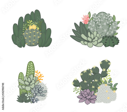 Cactus and Succulent Gardening Collection. It is a simple garden style. Single vector illustration isolated on white background.