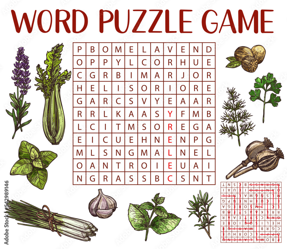 Vetor do Stock Spices, herbs and seasonings sketch, word search puzzle