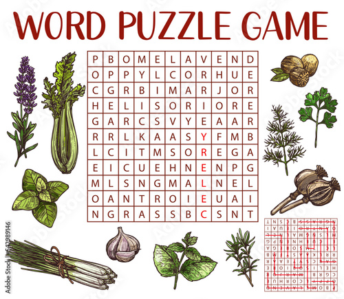 Spices, herbs and seasonings sketch, word search puzzle game worksheet, vector quiz grid. Kids education riddle game to search and find word of herbs and spices, poppy and lavender with nutmeg