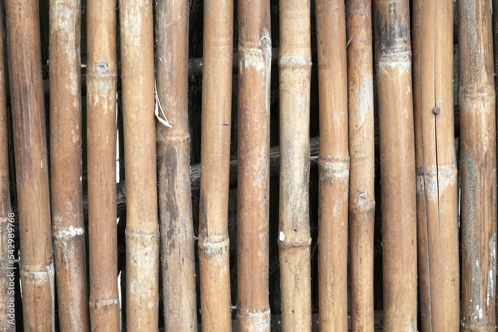 bamboo texture bamboo texture