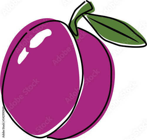 illustration of plum